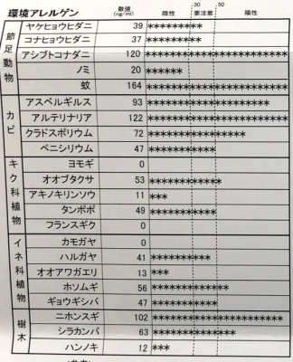 アレルギー猫2