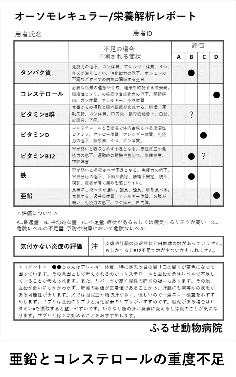 犬の病気はすべて亜鉛不足が根本原因 ふるせ動物病院