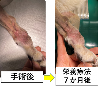 軟部組織肉腫7
