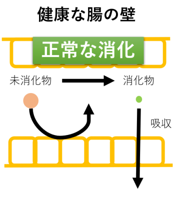 子犬アレルギー2