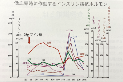 犬亜鉛不足４