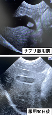 犬・胆泥・角膜潰瘍３