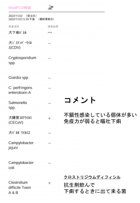 犬の炎症性腸疾患IBD栄養療法2