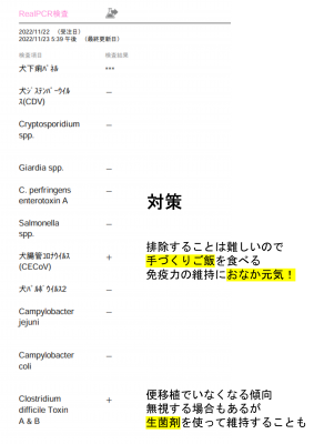 犬の炎症性腸疾患IBD栄養療法3