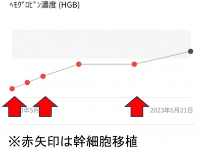 免疫介在性溶血性貧血IMHAの再生医療と栄養療法32